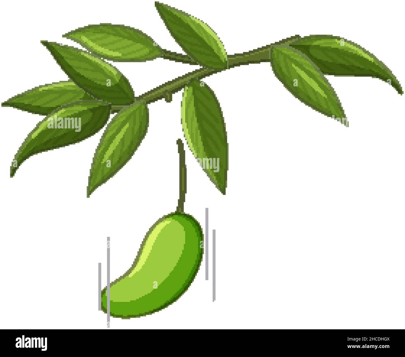 Abbildung: Mango fällt vom Baum Stock Vektor