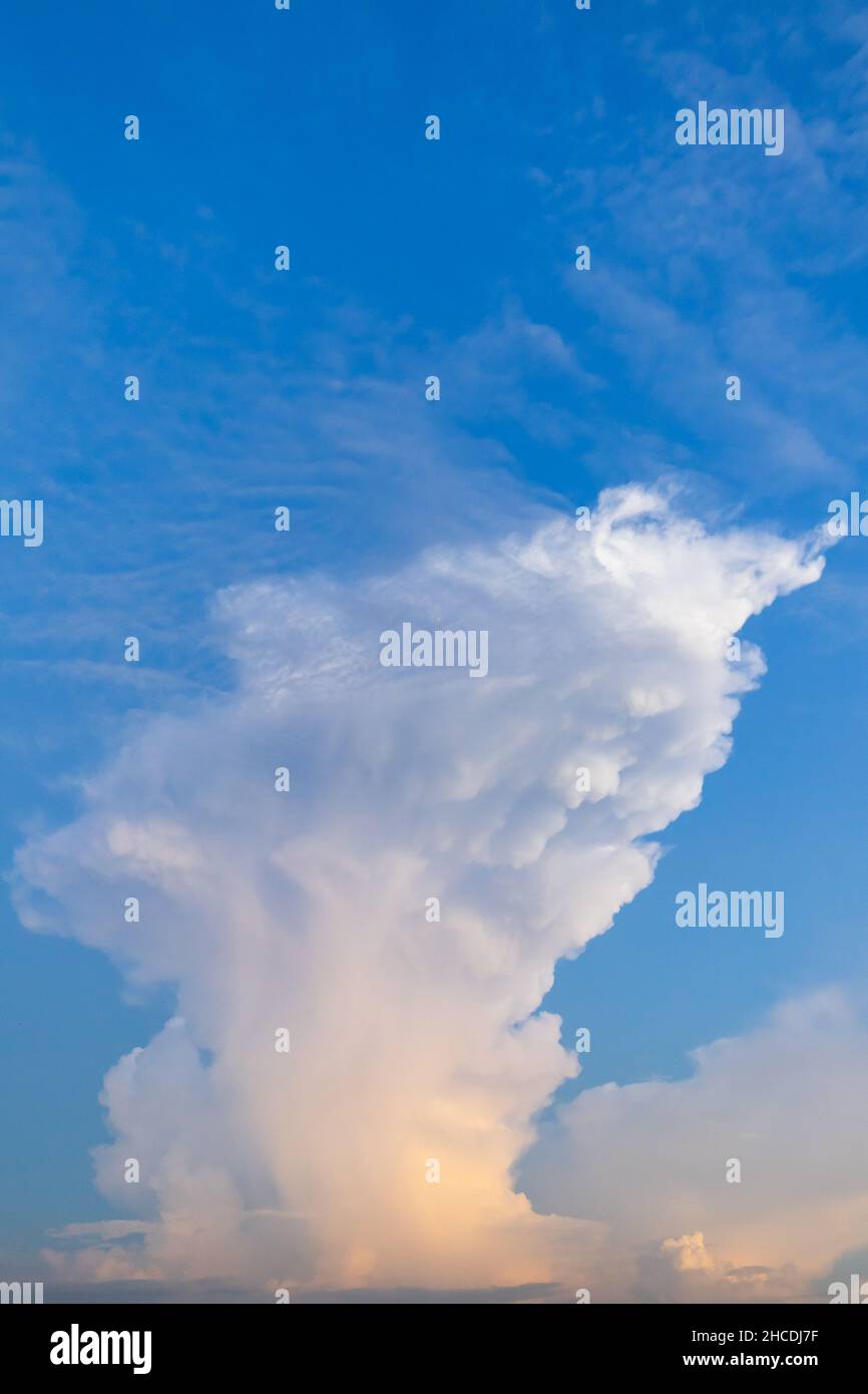 Blauer Himmel mit weißen Cumulus-Wolken am Abend. Natürliches vertikales Hintergrundfoto Stockfoto