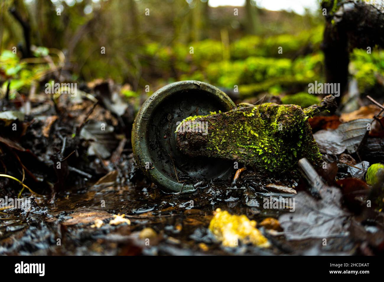 Rostiges, moosiges Rad in einem Wald Stockfoto