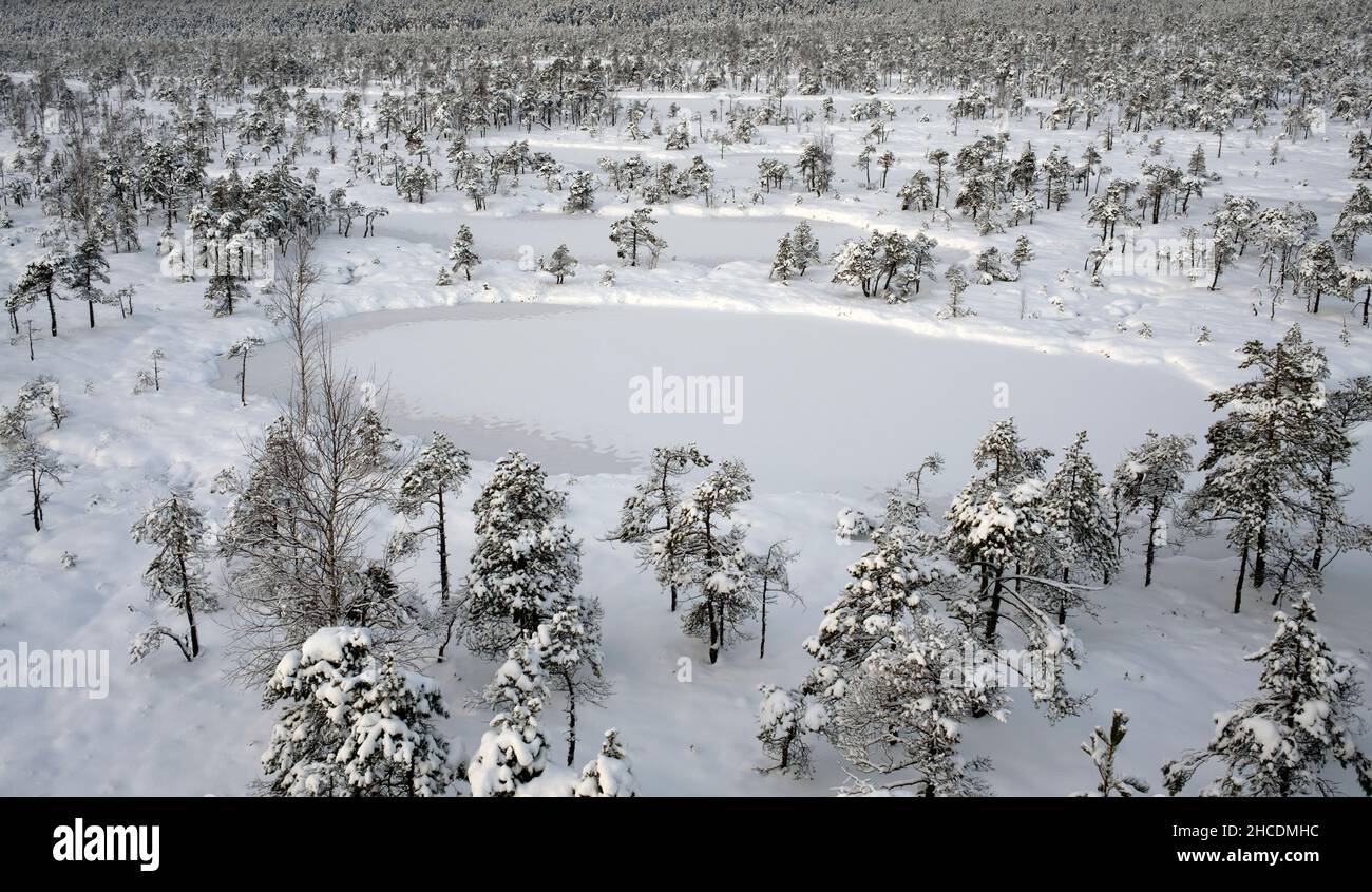 Schneebedeckte Landschaft des großen Ķemeri-Hochbogs im Kemeru-Nationalpark Lettland Stockfoto