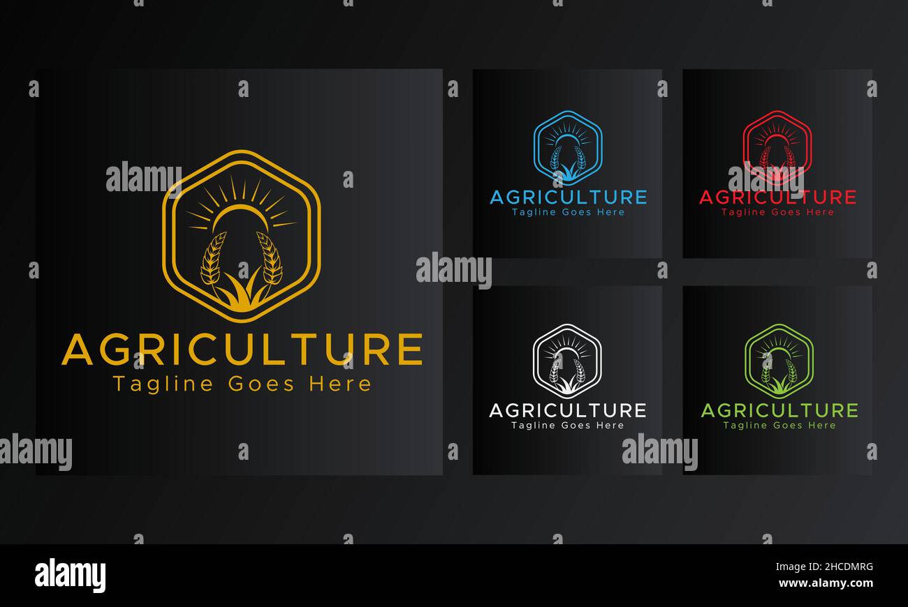 Vintage Agriculture Logo. Blau, rot, grün, weiß und goldene Farbe.Retro-Stil Luxus-Logo. Stock Vektor