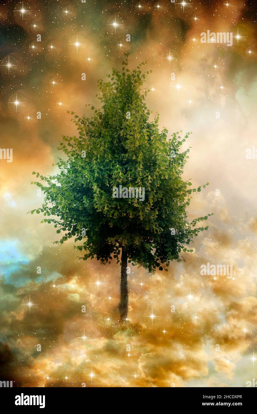 Surreale Illustration eines Baumes in den Wolken, mit mystischen Lichtern und Sternen Stockfoto