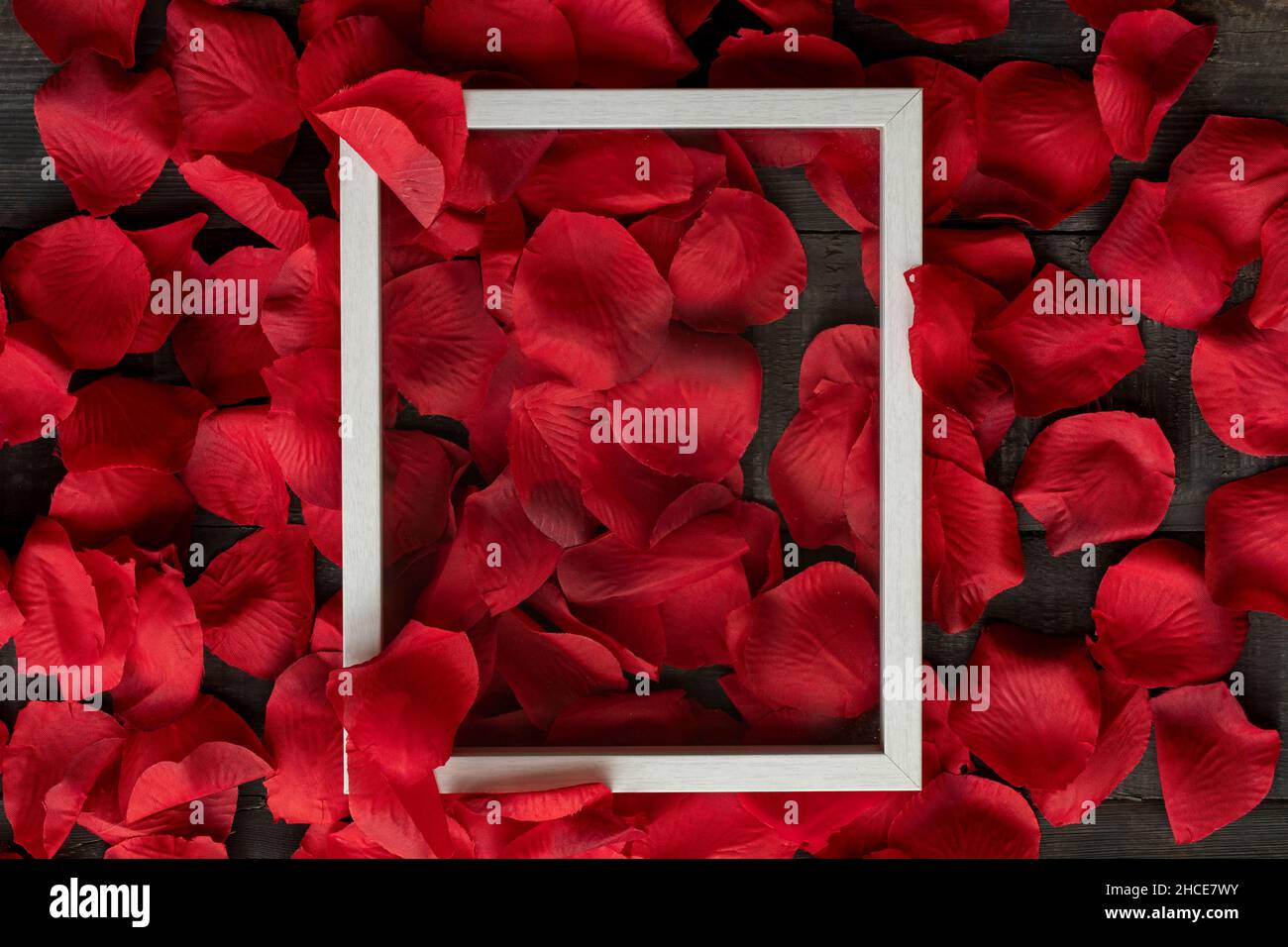 Rosenblüten und Rahmen, Valentinstag-Konzept Stockfoto