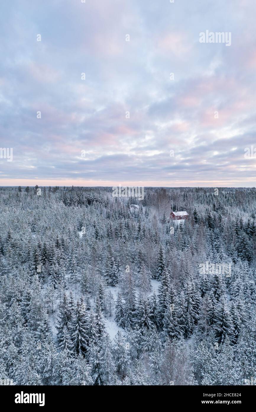 Schneebedeckter borealer Wald und eine Hütte tief in der Taiga. Haus im Wald. Stockfoto