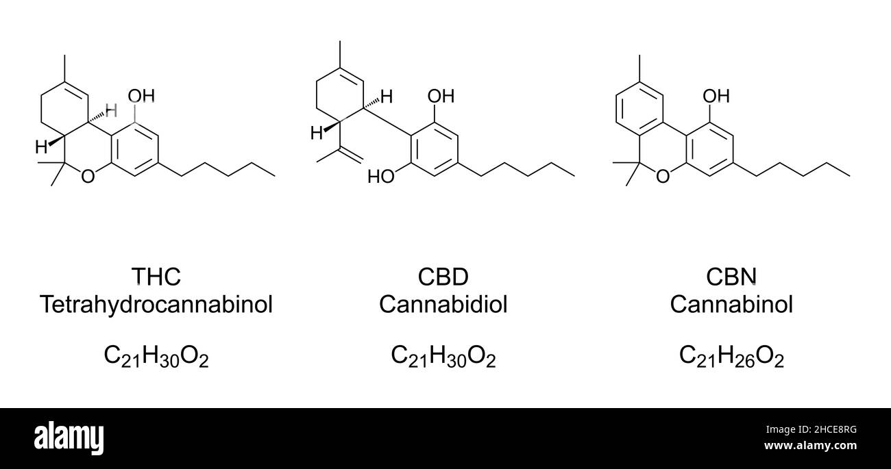 THC, CBD und CBN, chemische Formeln und Strukturen. Die am besten untersuchten Cannabinoide, Cannabisverbindungen, die in Cannabispflanzen gefunden wurden. Stockfoto