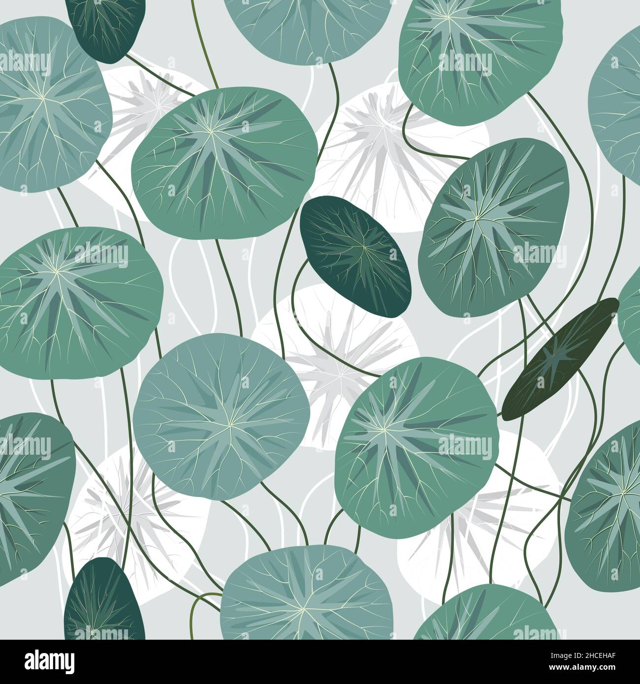 Nahtloses Muster der Zimmerpflanze stephania erecta craib, tropische moderne Pflanzen für Design Haus und Büro Interieur, Vektor botanischen Hintergrund. Stock Vektor