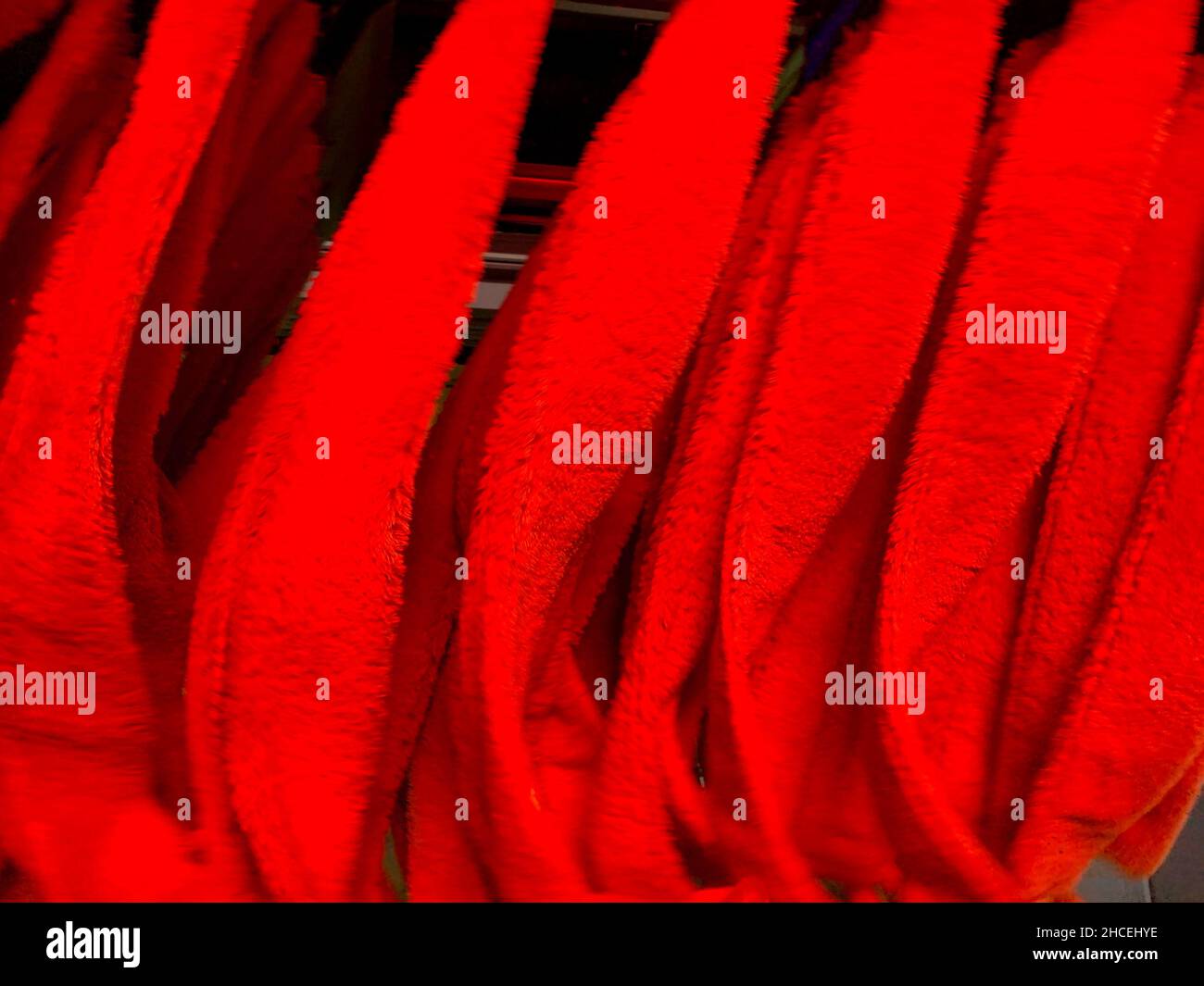 In der automatischen Transporttunnelwaschanlage. Blick vom Innenraum des Autos, Nahaufnahme der rotierenden roten Trockenbürsten. Hintergrund des Hintergrundbilds. Stockfoto