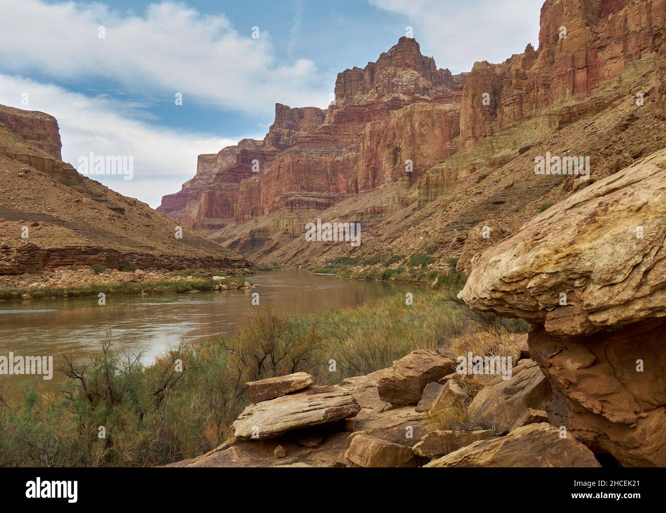 Der Colorado River, stromaufwärts von der Kreuzung des Little Colorado River. Es werden Schichten von hellem Angel Shale, Muav und Redwall Kalkstein gezeigt Stockfoto