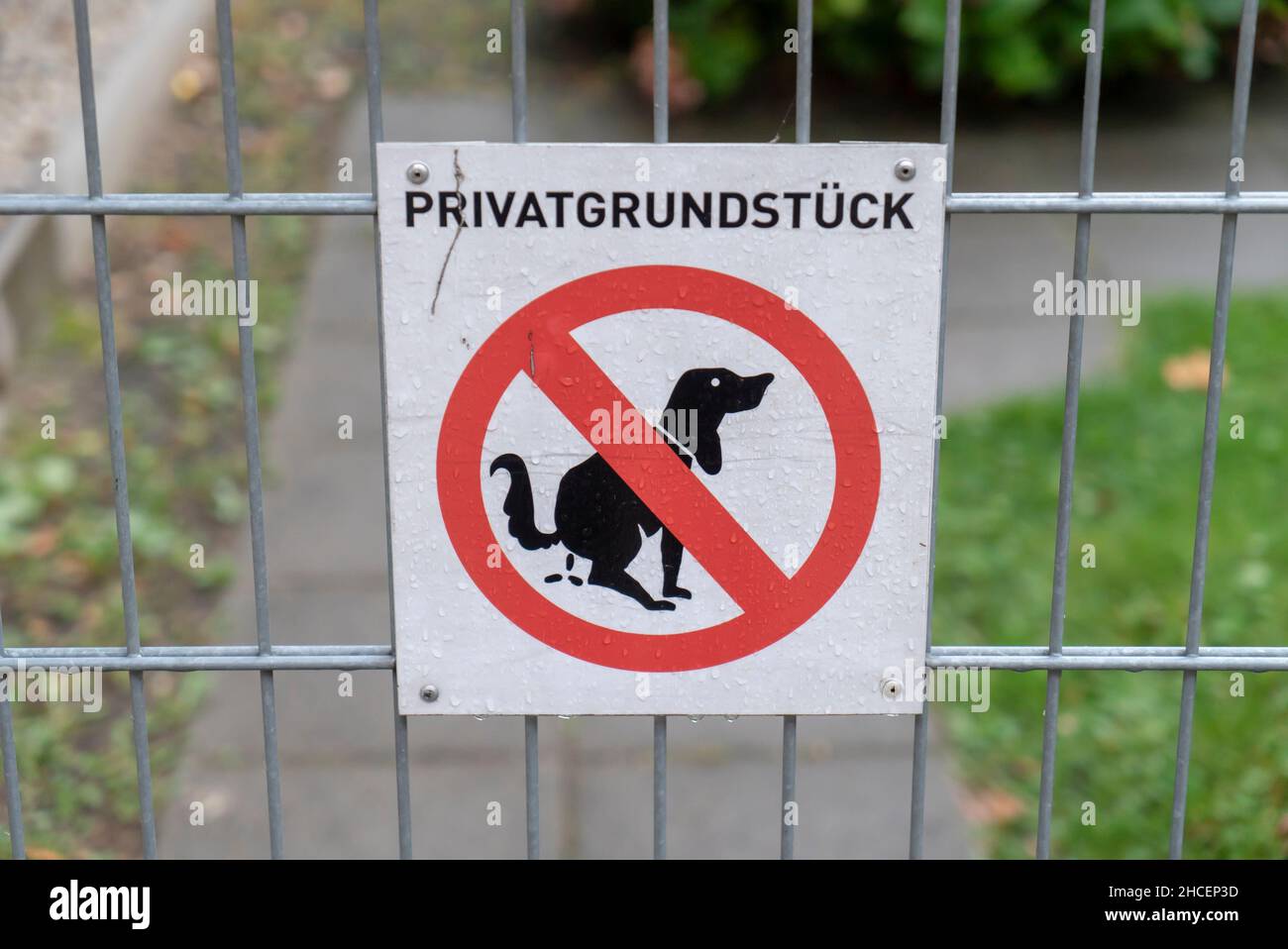 Nahaufnahme eines nicht-hundespazierenden und privaten Anwesens auf einem Metallzaun Stockfoto