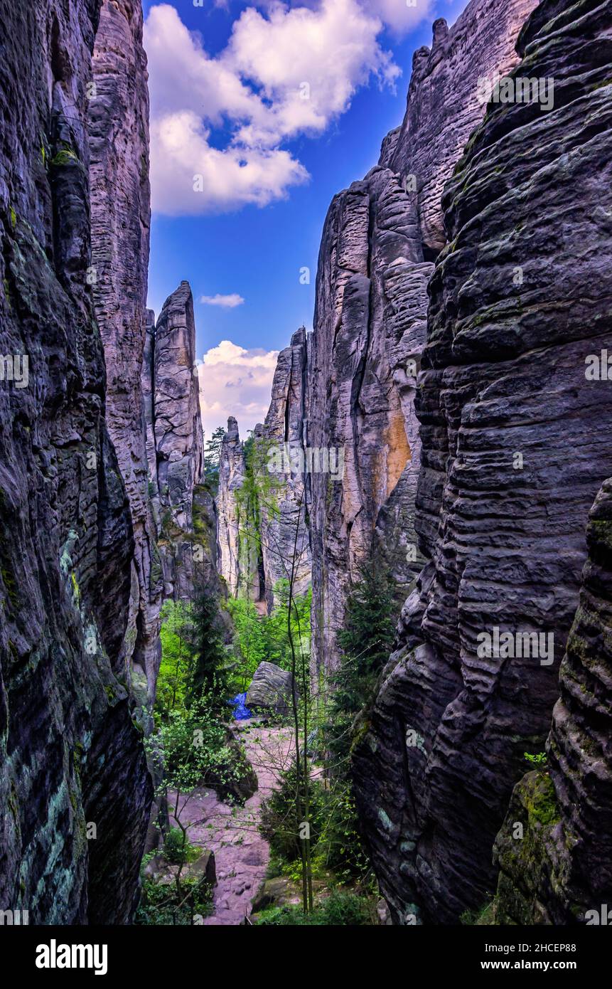 Wanderweg entlang und zwischen den Prachov Felsen (Prachovske Skaly), Böhmisches Paradies (Cesky Raj), Kralovehradecky kraj, Tschechische Republik. Stockfoto