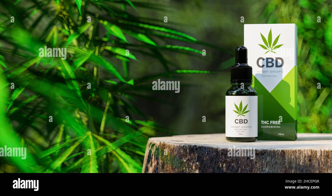 CBD-CANNABISÖL. Cannabisöl in Pipette, Hanfprodukt mit Verpackung. Konzept der pflanzlichen alternativen Medizin, cbd-Öl, Pharmaindustrie Stockfoto
