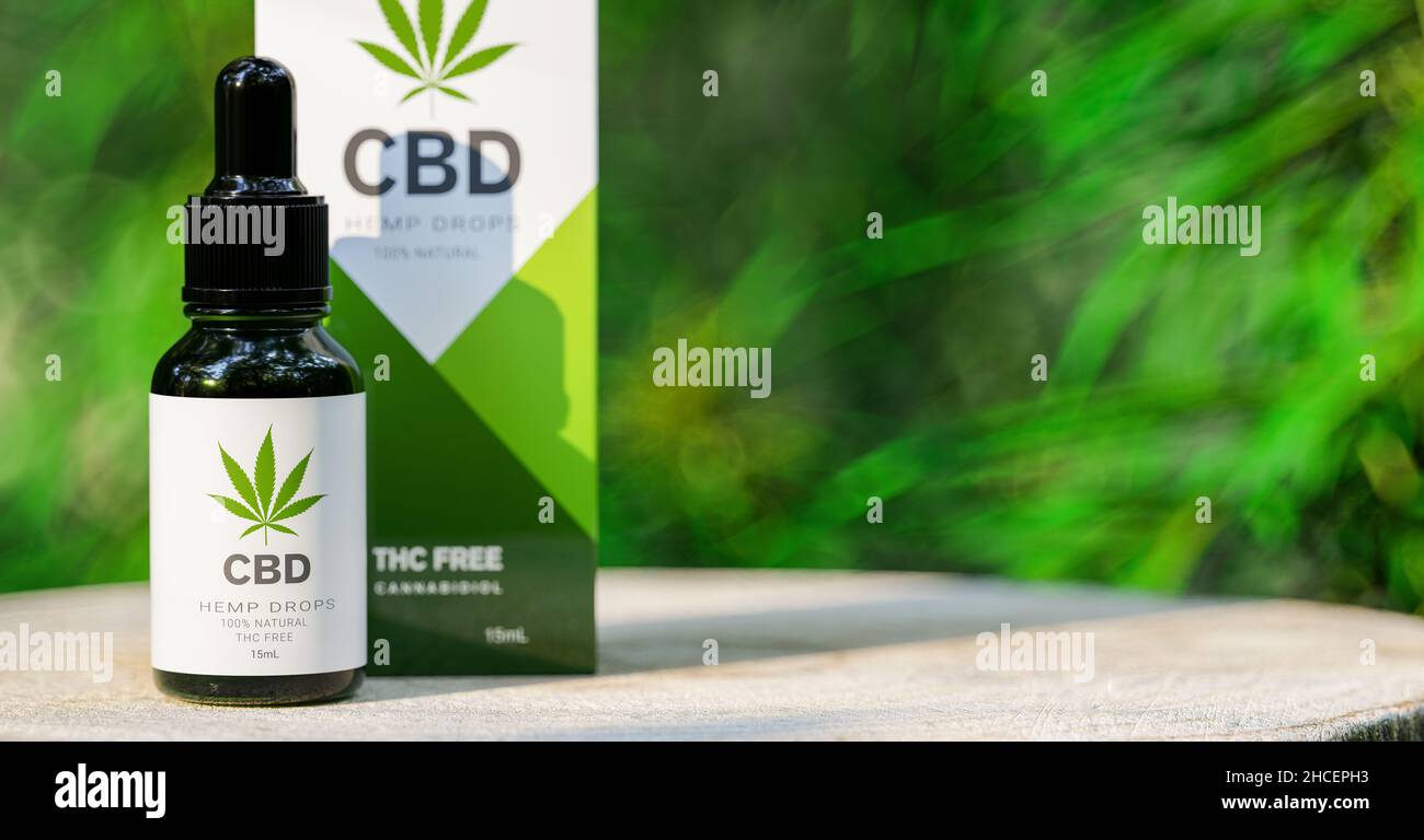 CBD-CANNABISÖL. Cannabisöl in Pipette, Hanfprodukt. Konzept der pflanzlichen alternativen Medizin, cbd-Öl, pharmazeutische Industrie, Copyspace für Ihre Stockfoto