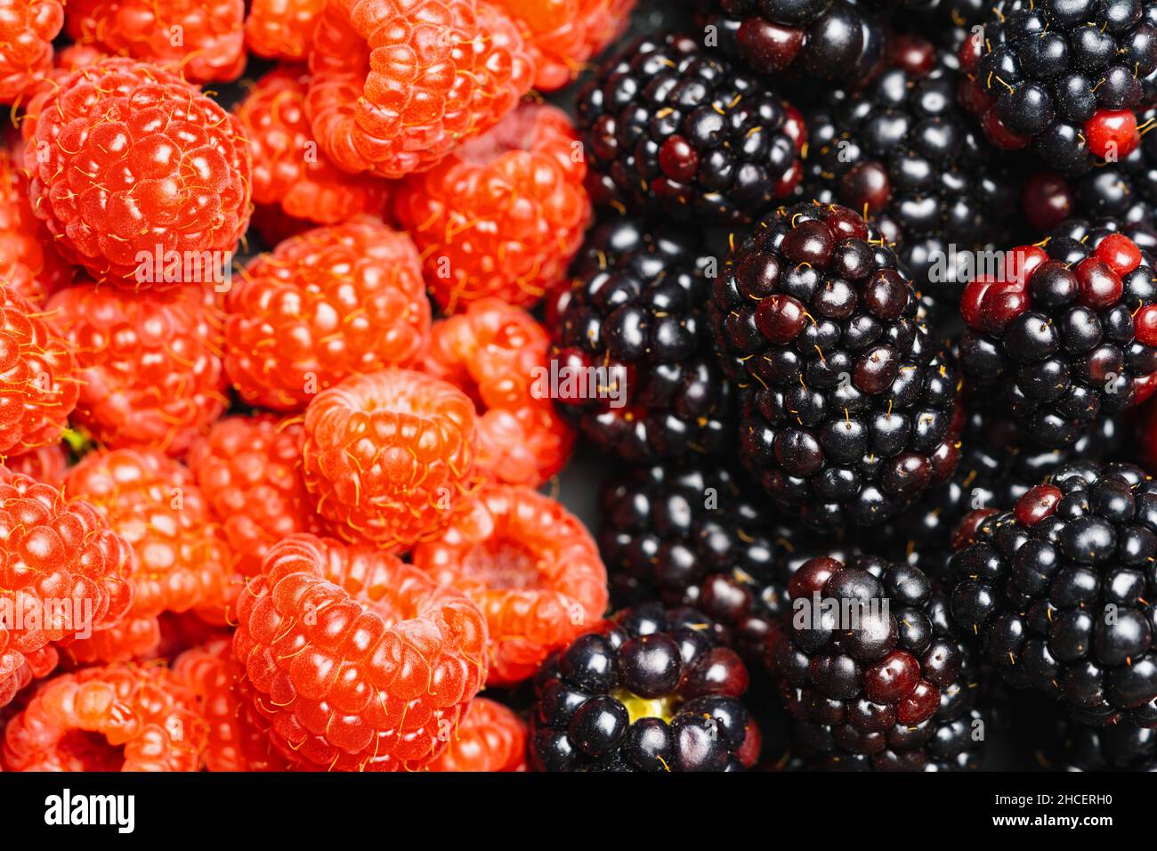 Frischer blackberrys und Raspberrys Hintergrund oder Hintergrund. Veganes und vegetarisches Konzept. Makro-Textur von Brombeere und Himbeere. Sommer Stockfoto