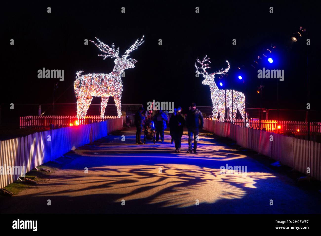 Beleuchtete Rentiere am Eingang der Christmas Light Show im Dunham