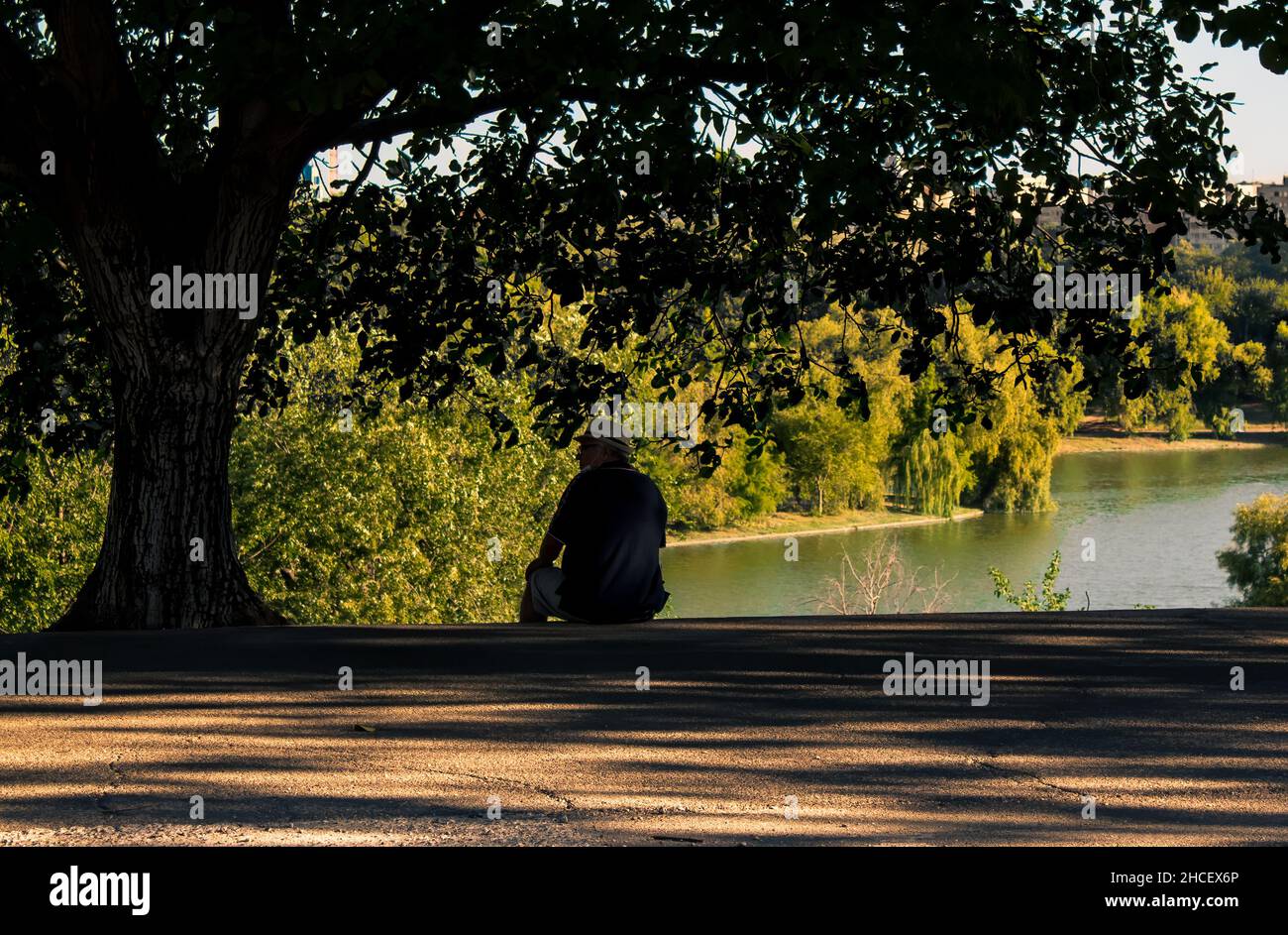 Malerische Aussicht auf einen Mann, der unter dem Baum in einem Park sitzt Stockfoto