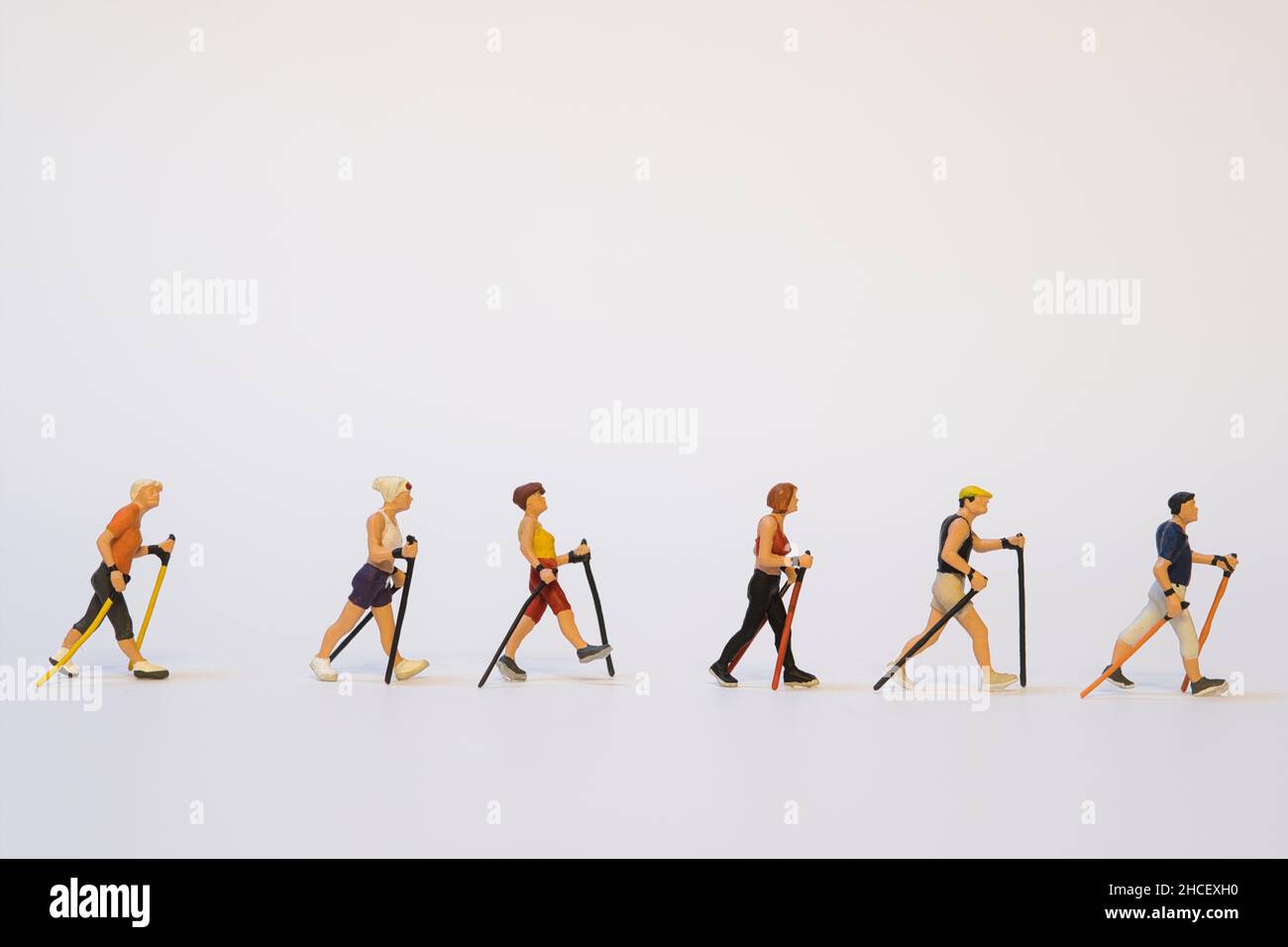 Eine Gruppe von Miniatur-Jogginghosen in einer Reihe, während sie auf weißem Hintergrund laufen Stockfoto