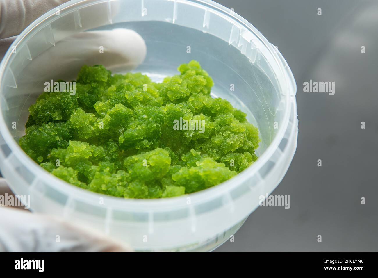 Nahaufnahme einer kleinen Flasche mit einer Paste, die vom Chemiker im Labor am Mikroskop analysiert werden soll Stockfoto