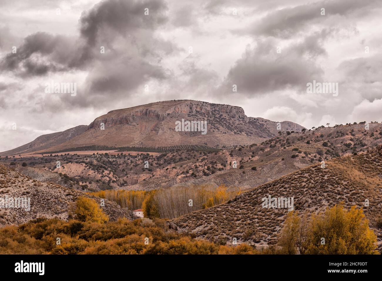 Typisch herbstliche Landschaft in den andalusischen Feldern. Stockfoto