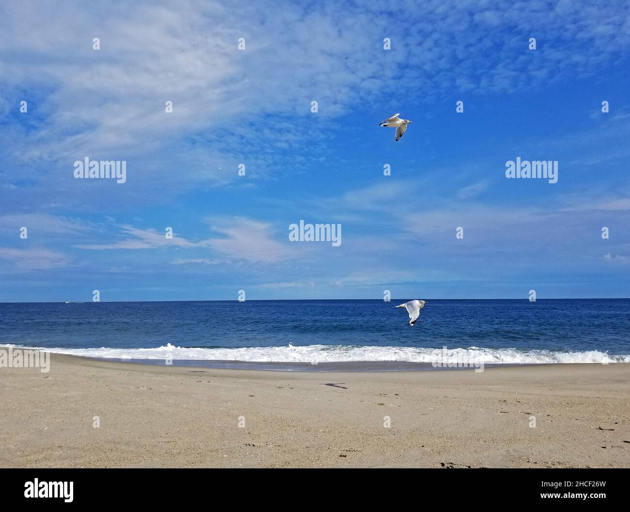 Die Wellen schlagen in Point Pleasant, New Jersey, an einem sonnigen frühen Herbsttag -04 in einen leeren Strand, mit Ausnahme einiger Möwen Stockfoto