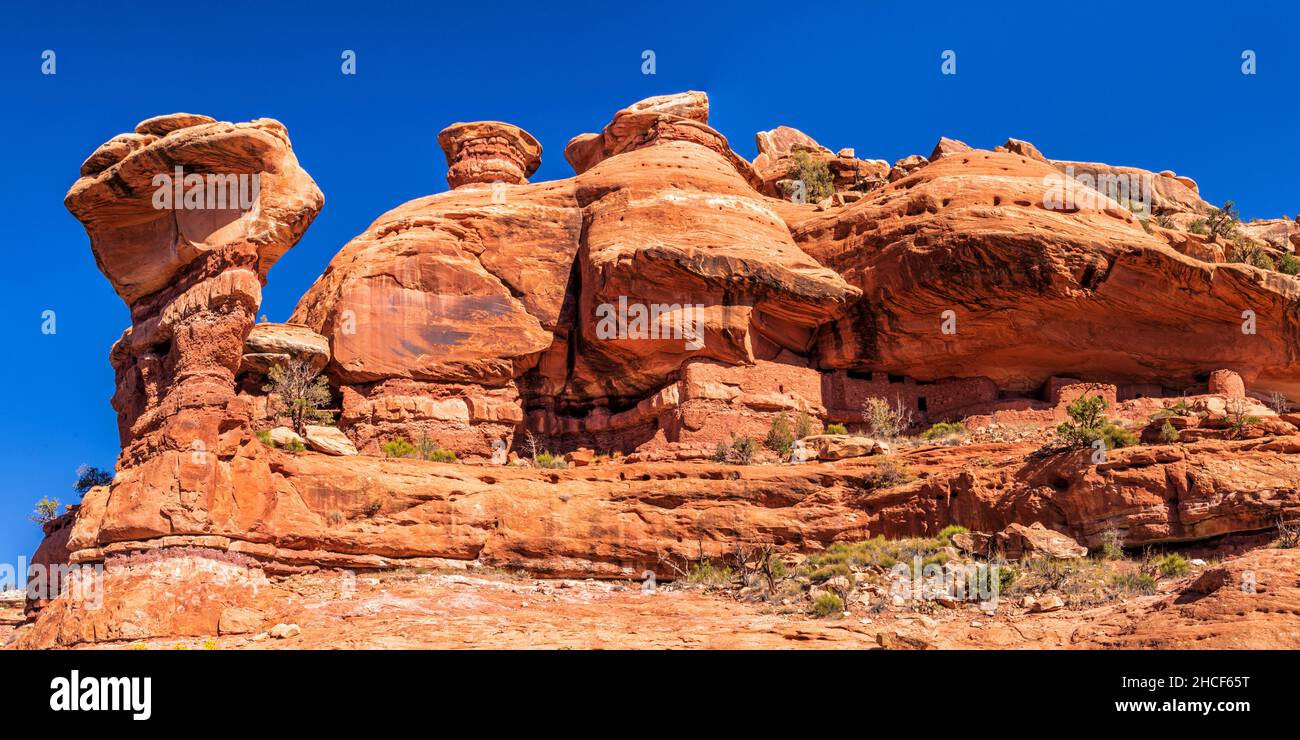 Eine Panoramaaufnahme der Cliff Dwellings des Moon House von unten auf Cedar Mesa im Bears Ears National Monument, Utah. Stockfoto