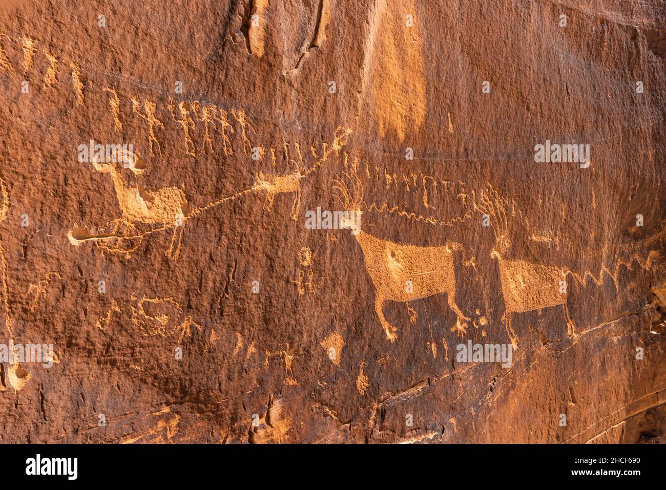 Das Prozessionsfeld, ein bekanntes Ancetral Puebloan Petroglyphen Panel in der Nähe der Spitze des Comb Ridge im Bears Ears National Monument, Utah. Stockfoto