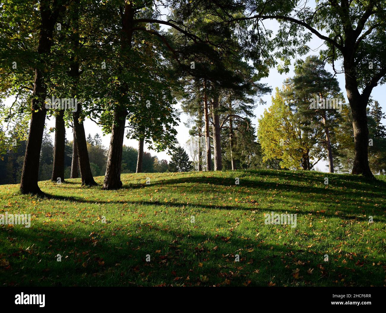Grüner Hügel mit Gras und Bäumen an einem sonnigen Herbsttag Stockfoto