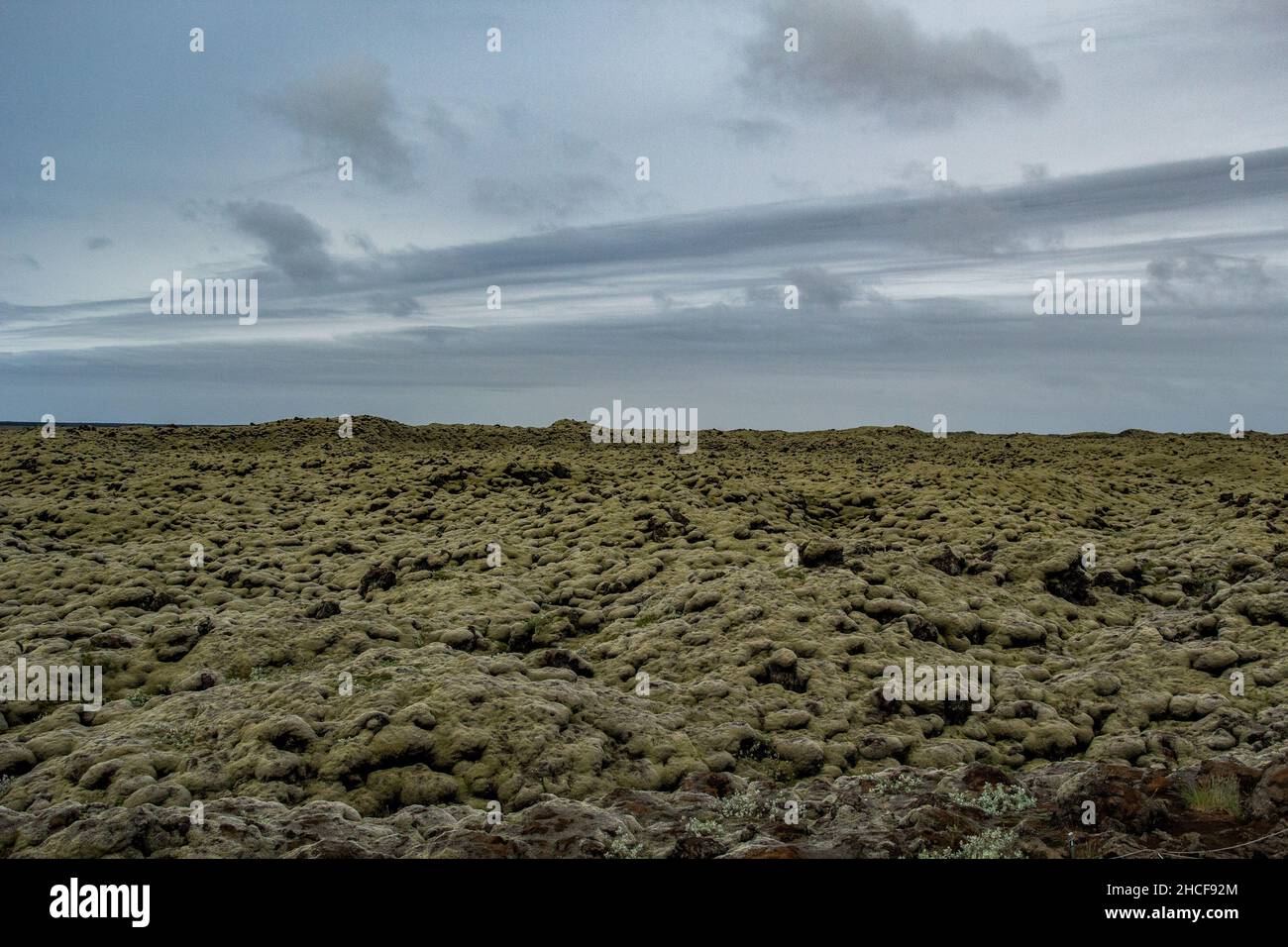 Isländisches Lavafeld bedeckt mit grünem Moos vom Vulkanausbruch Stockfoto