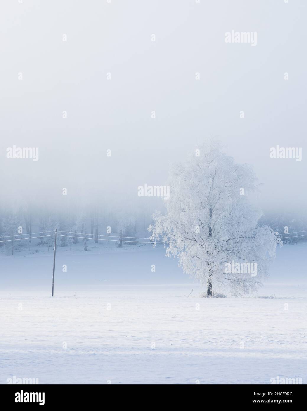 Bezaubernde Winterlandschaft mit weißem Schnee bedeckt; ein Winterwunderland Stockfoto