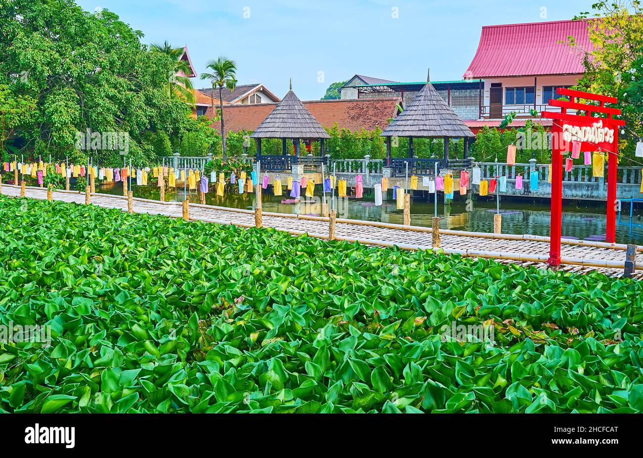 Der schöne kleine See, bedeckt mit Lotuspflanzen mit einer alten Bambusbrücke, bunten Laternen, rotem Holztor und Sommerhäusern auf der gegenüberliegenden BA Stockfoto