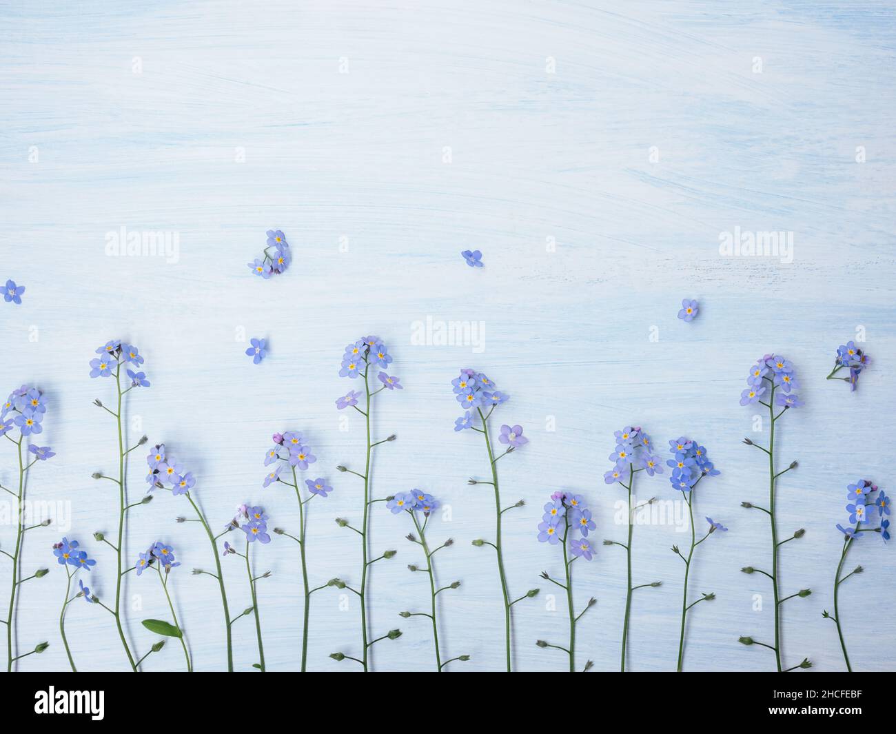 Vergiss mich nicht auf hölzernen Hintergrund. Urlaub blauen Blumenrahmen. Speicherplatz kopieren. Layout mit Platz für Text. Geschenkkarte, Urlaubsdeko-Konzept. Romantisch Stockfoto