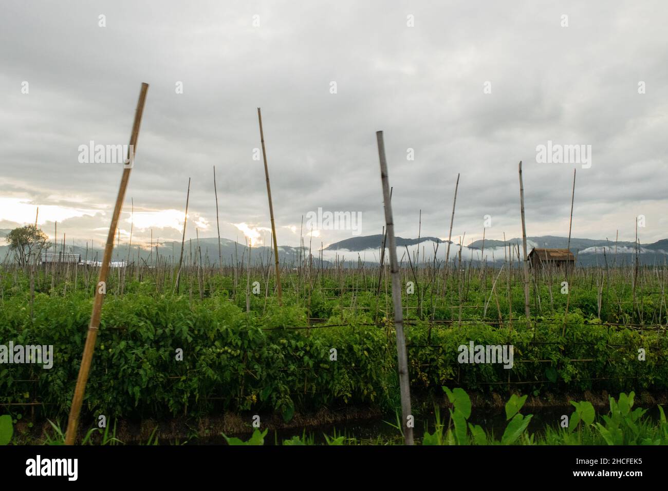 Schwimmende Gärten und Ackerland in Inle Lake, Myanmar, zeigen das ländliche Leben der Burmesen Stockfoto