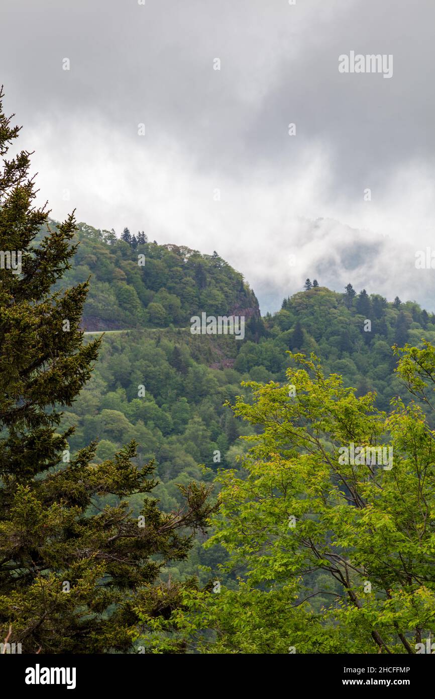 Appalachian Mountains entlang des Blue Ridge Parkway in North Carolina Stockfoto