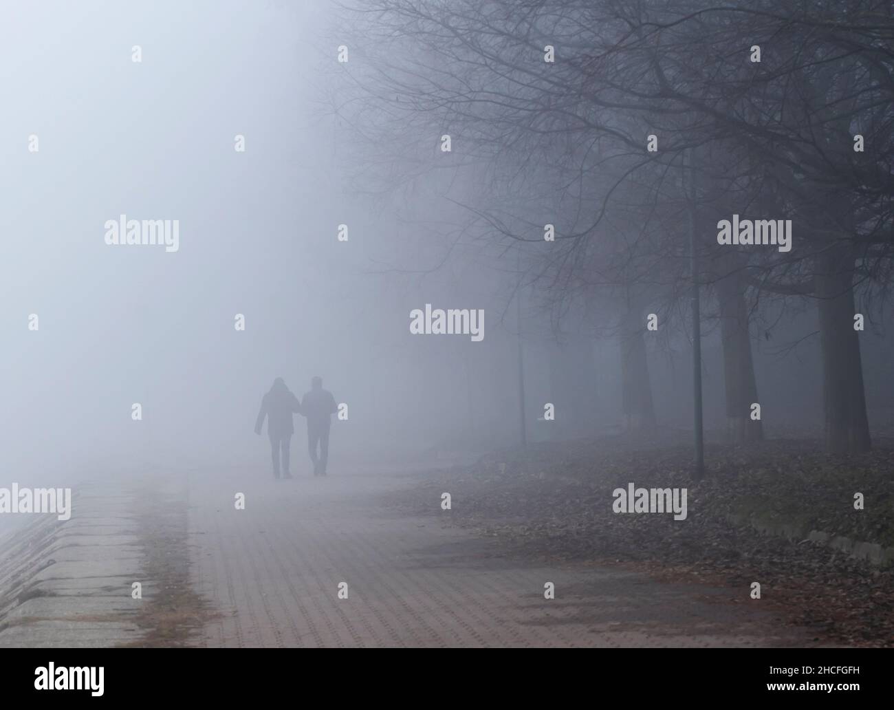 Spaziergang im dichten Nebel entlang des Po-Ufers, Cremona. Stockfoto