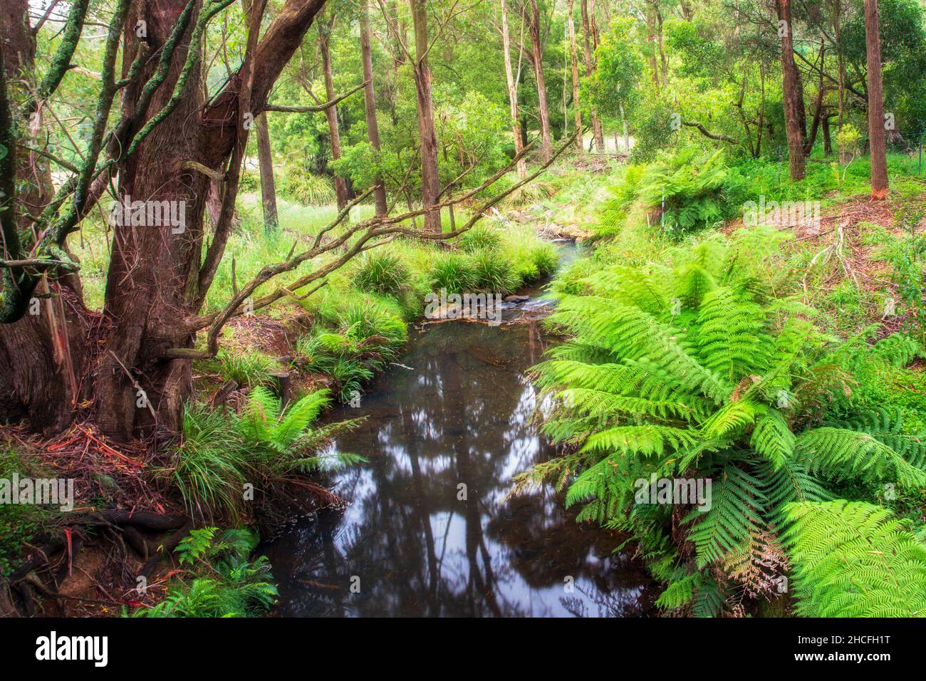Morton National Park New South Wales Australien Stockfoto