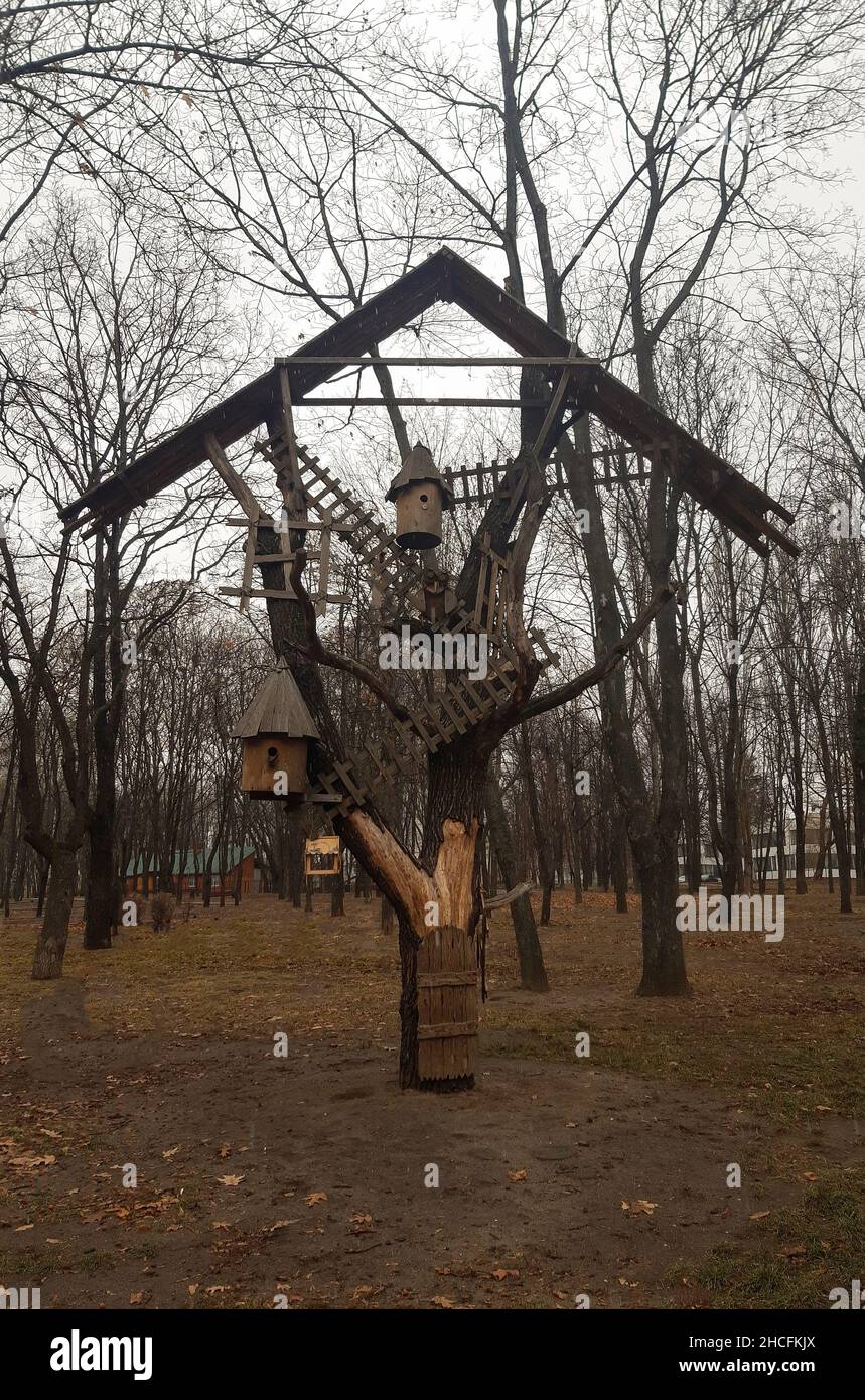 Im Park gibt es eine große Holzinstallation unter dem Dach mit Bienenstöcken und abstrakter Bedeutung Stockfoto