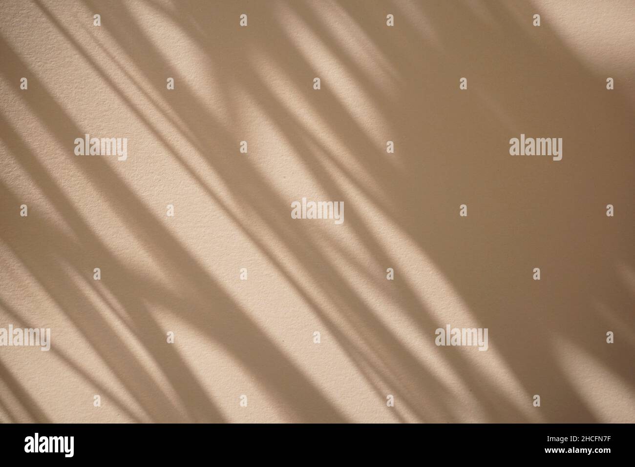 Natürlicher Schatten am Fenster Overlay auf sauberen minimal beige, trockene Blätter Farbe Textur abstrakten Hintergrund. Stockfoto