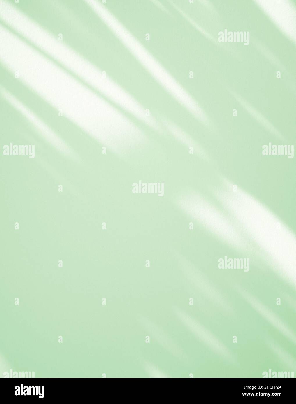 Natürliche grüne Schattenüberlagerung des Fensters auf einem sauberen, minimal hellweißen Hintergrund. Stockfoto