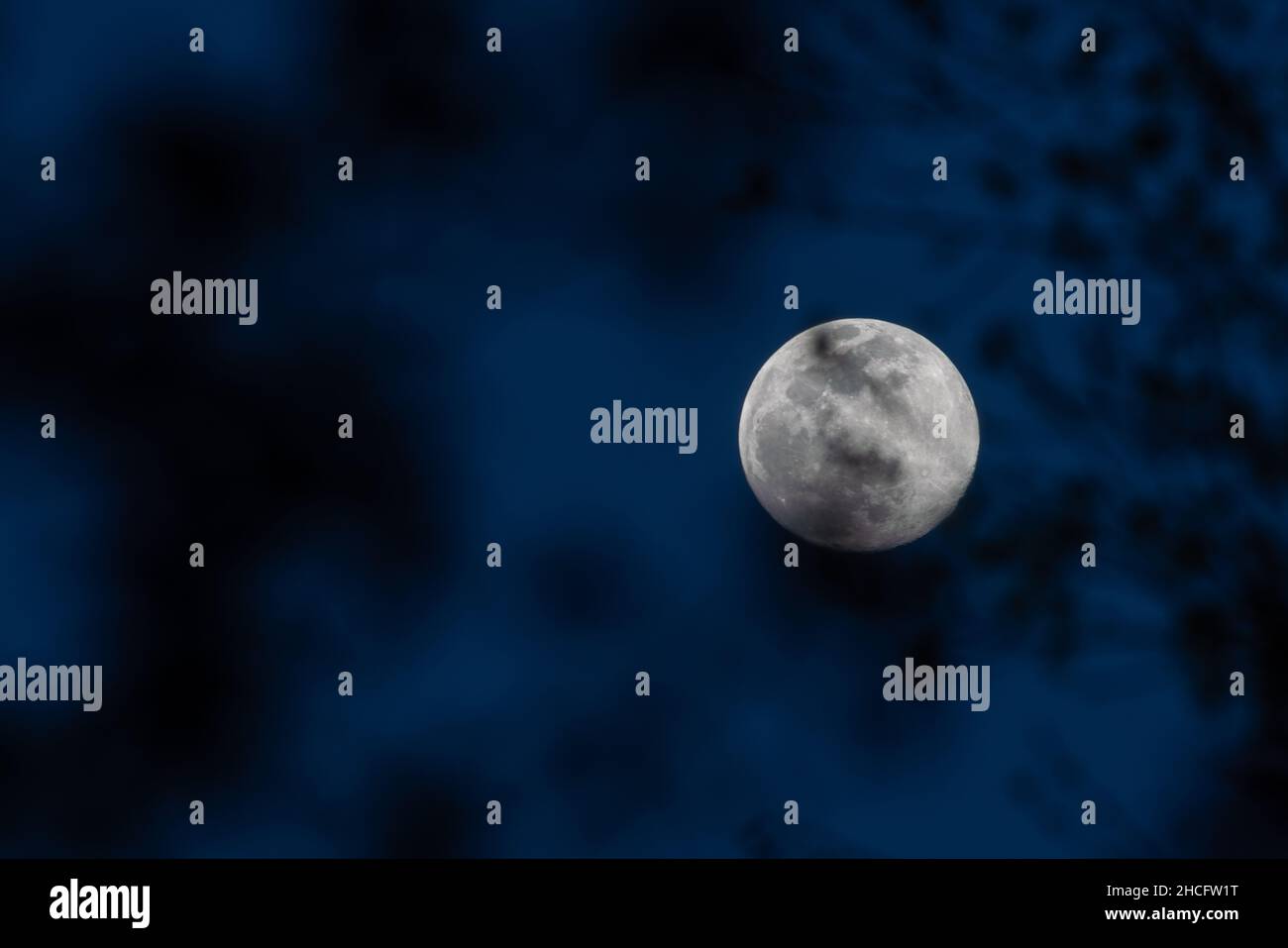 Vollmond am dunklen Nachthimmel mit blauen Schattierungen Stockfoto