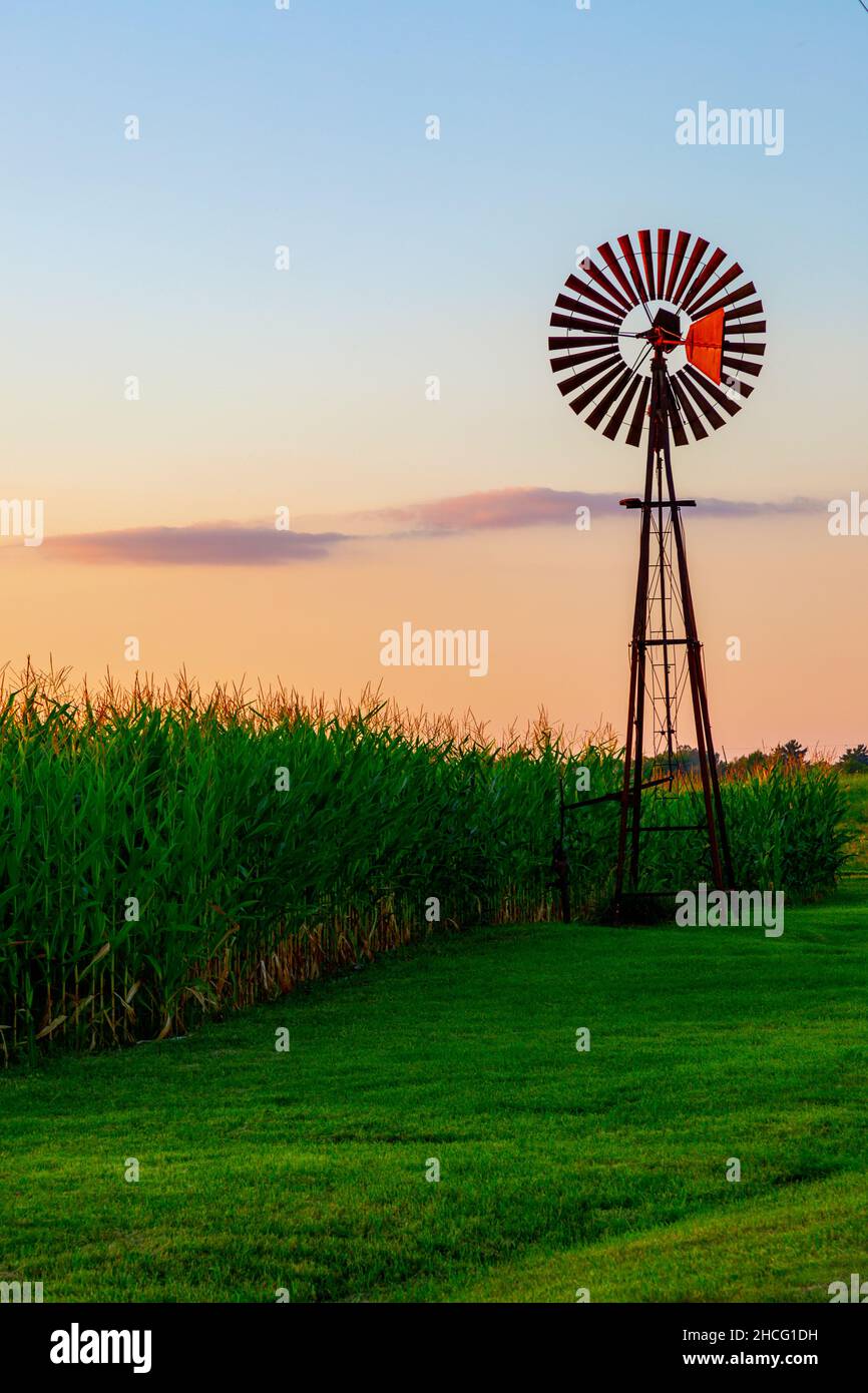 Die Sonne untergeht hinter einer Windmühle auf einem DeKalb County Kornfeld in der Nähe von Spencerville, Indiana, USA. Stockfoto