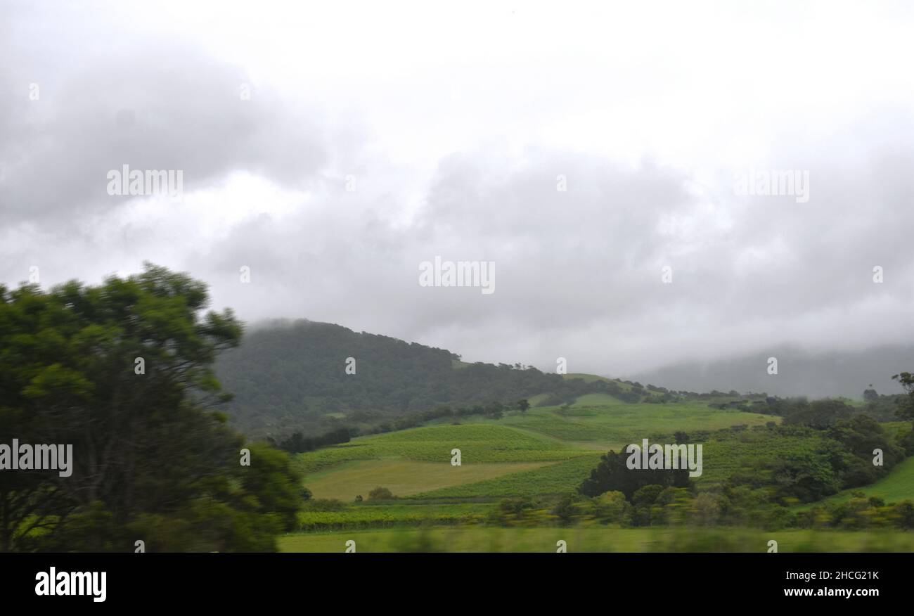 Felder und Weideland auf den sanften Hügeln des Kangaroo Valley, NSW, Australien Stockfoto