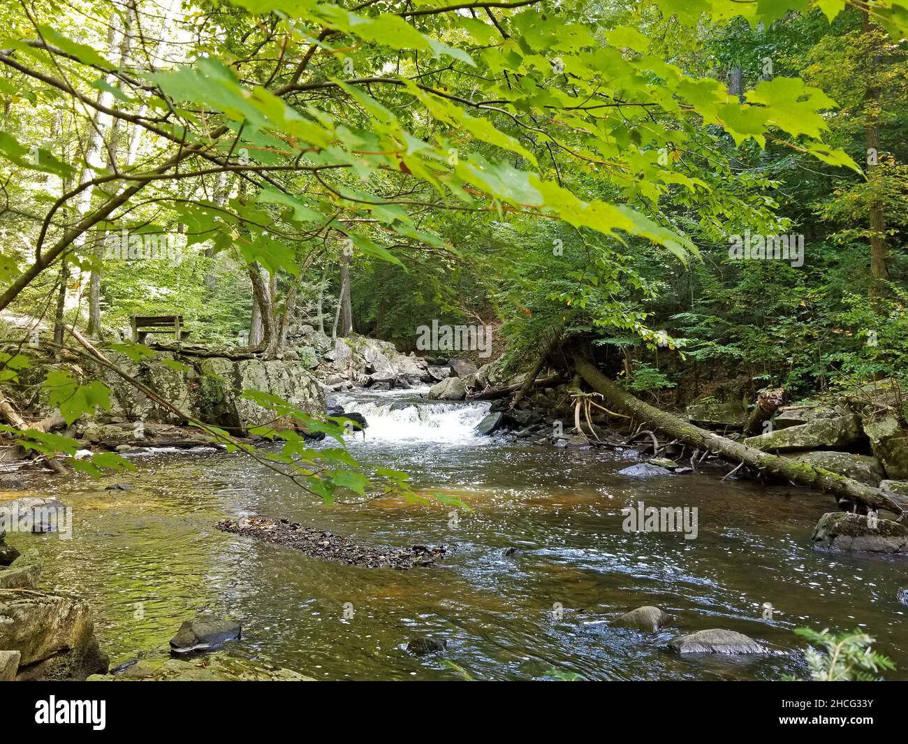 Wasserszenen entlang des Lamington River im Hacklebarney State Park, in Chester, New Jersey, USA -05 Stockfoto