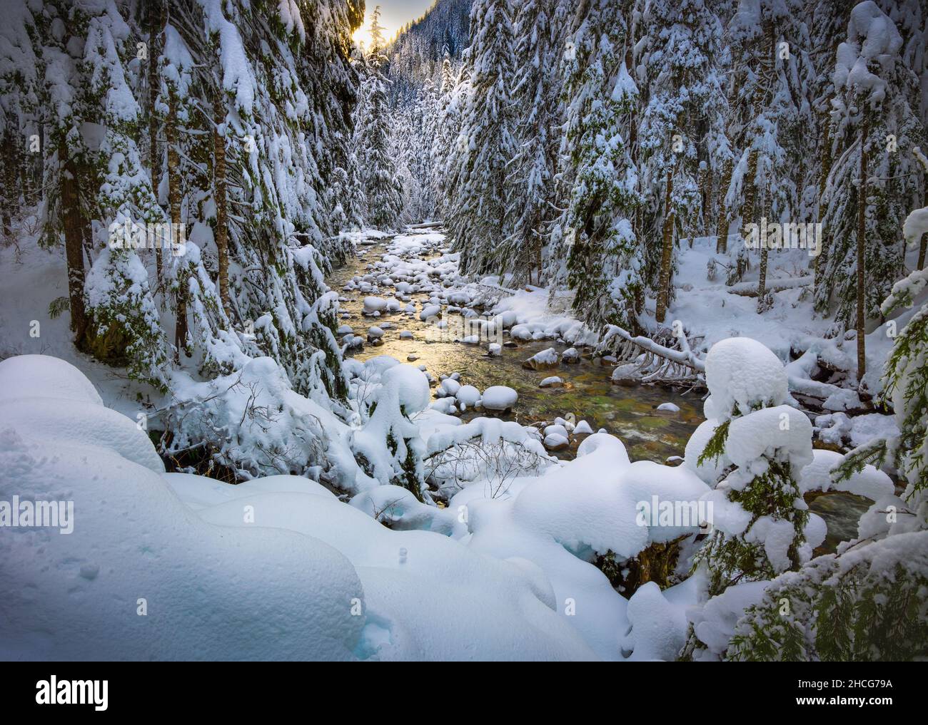 Franklin Falls Trail in der Nähe des Snoqualmie Pass im Bundesstaat Washington. Stockfoto