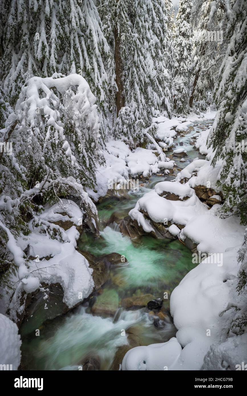 Franklin Falls Trail in der Nähe des Snoqualmie Pass im Bundesstaat Washington. Stockfoto