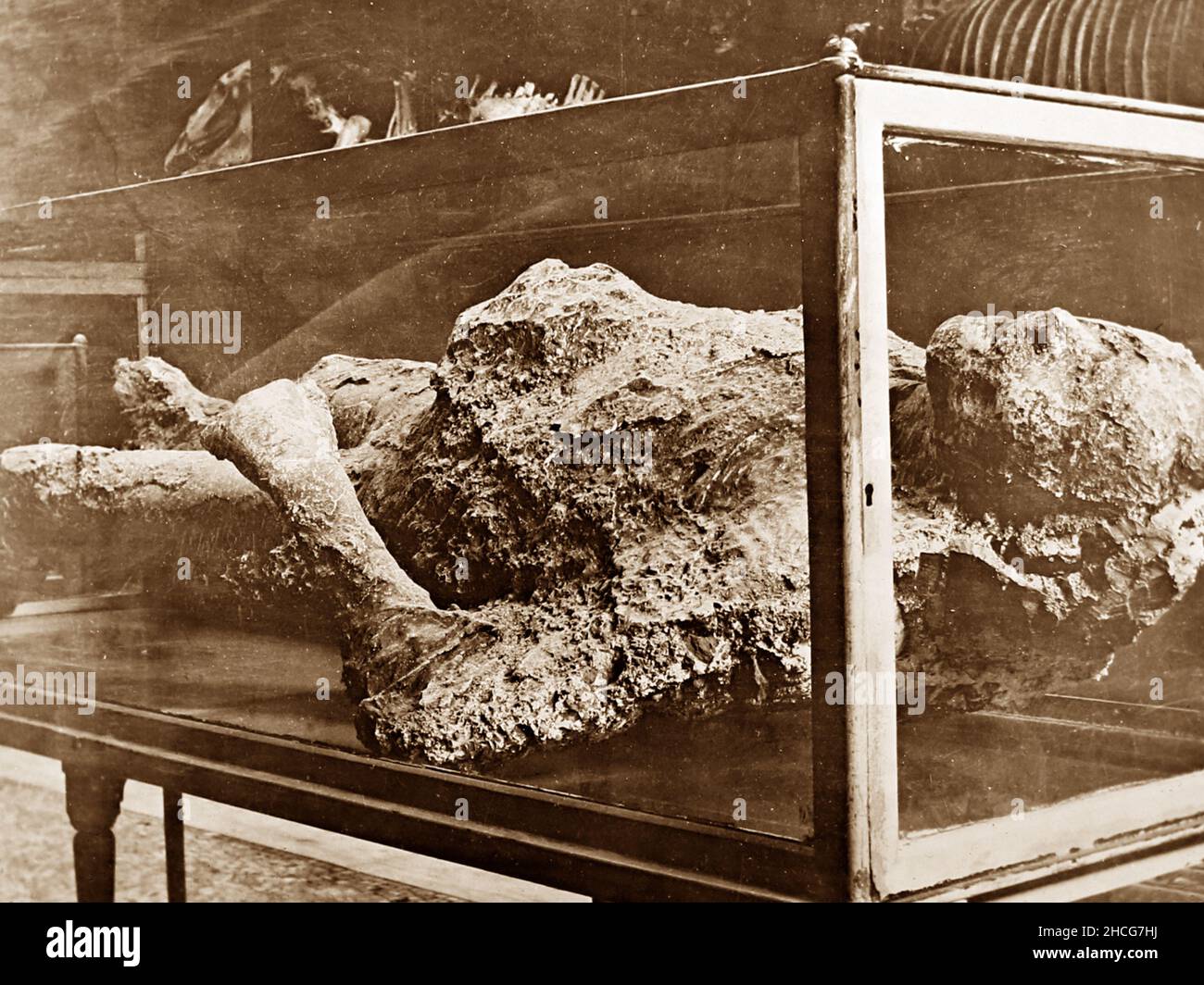 Gipsguss im Pompeji Museum, Pompeji, Italien, viktorianische Zeit Stockfoto