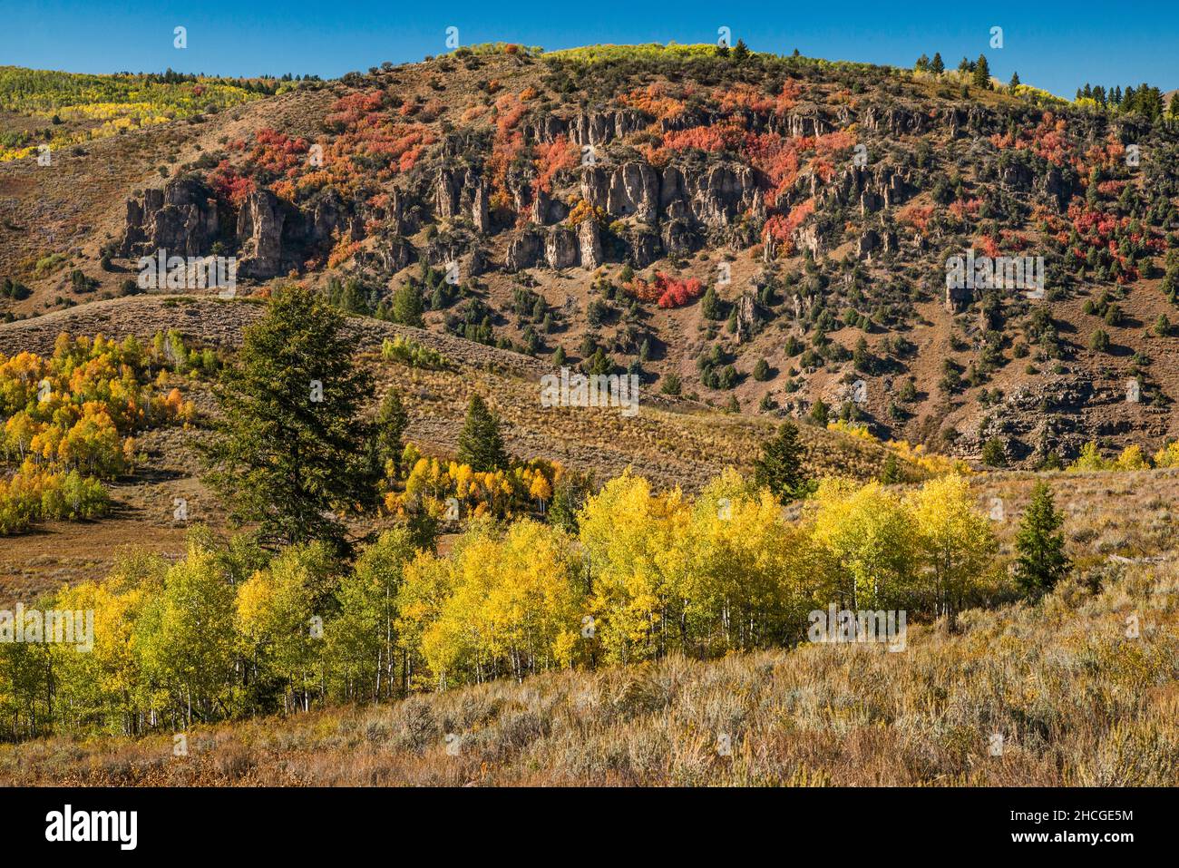 Elk Valley, Danish Dugway Area, Blick von der Bear Lake Road (FR054), in der Nähe von Hardware Ranch, Wasatch Range, Uinta Wasatch Cache National Forest, Utah, USA Stockfoto