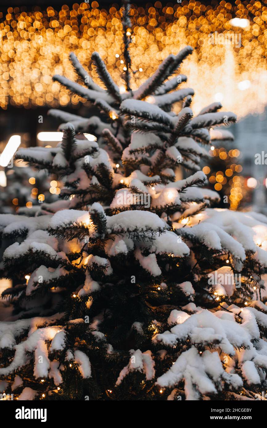 Goldene Magie glitzernde Bokeh Lichter der festlichen Weihnachtsgirlande. Glitzernder Neujahrshintergrund für Grußkarten. Schneebedeckter Christbaumzweig Stockfoto