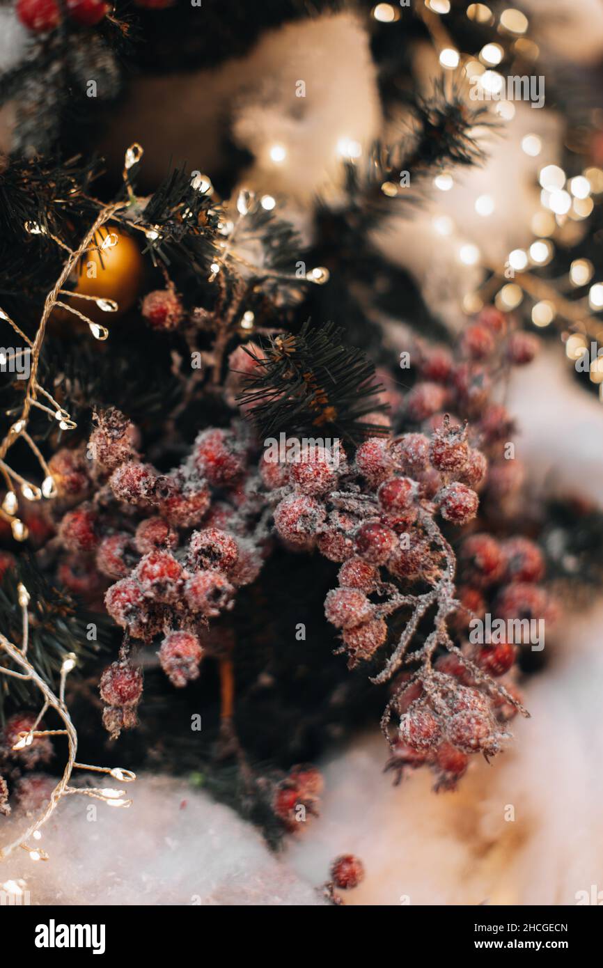 Weihnachtsbaum grüne Zweige mit roten Beeren und goldener Girlande verziert. Neujahr Wintersaison. Urlaub Märchen Details Stockfoto