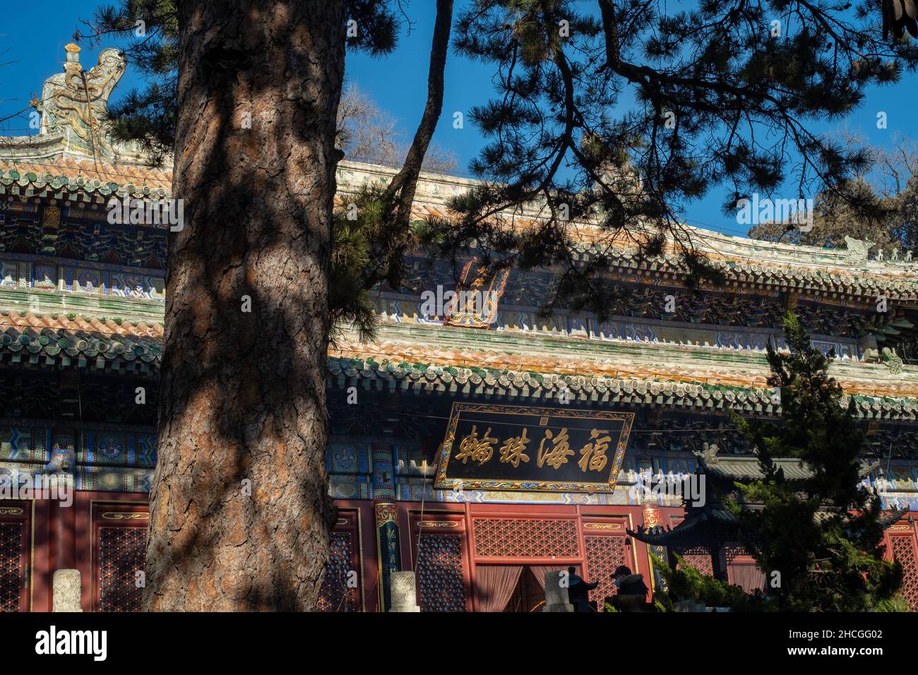 Mahavira Hall im Tanzhe Tempel aufgestellt in den westlichen Hügeln, einer bergigen Gegend im westlichen Beijing, China. 29-Dez-2021 Stockfoto
