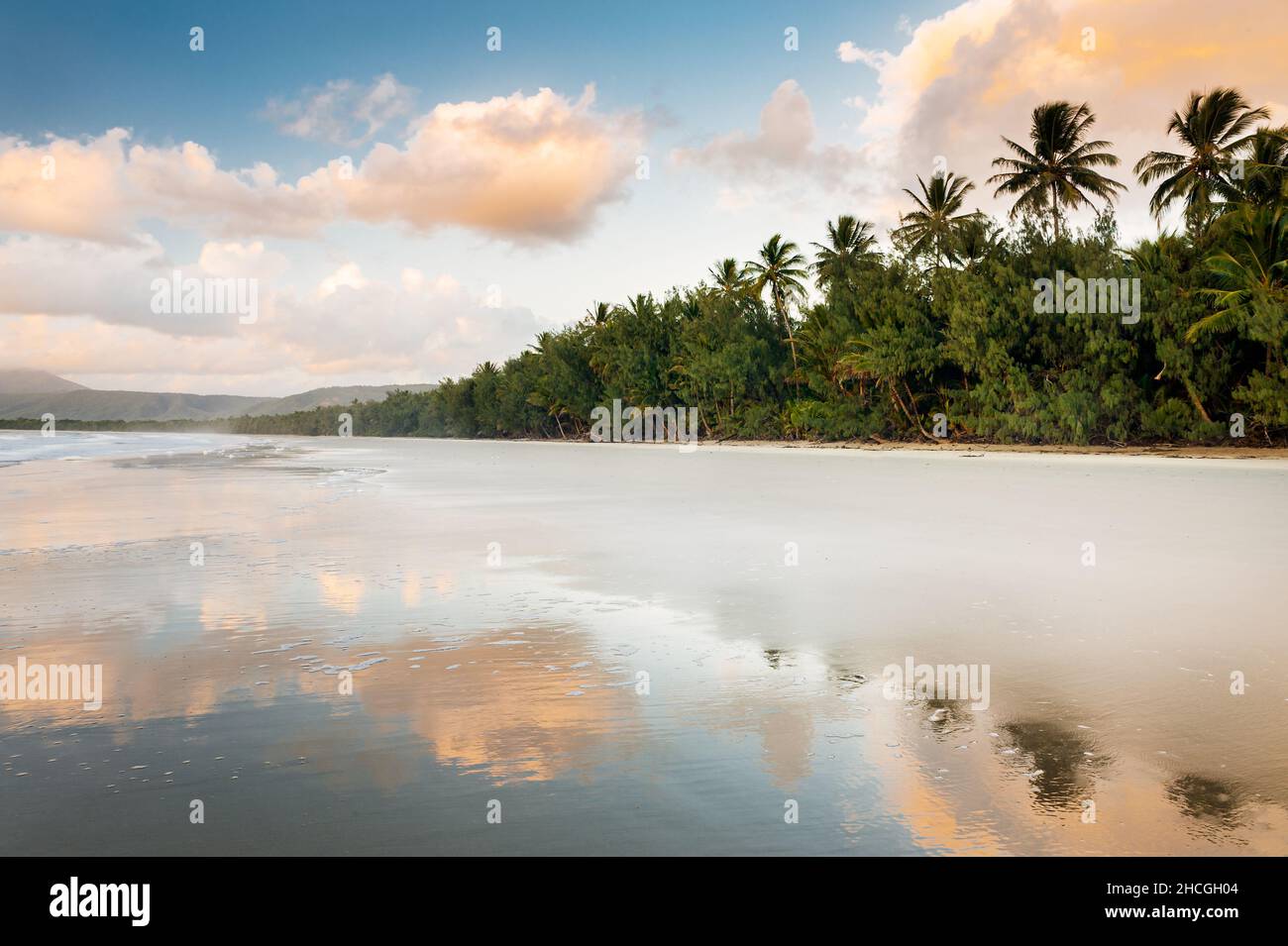 Wunderschöner Four Mile Beach in Port Douglas. Stockfoto