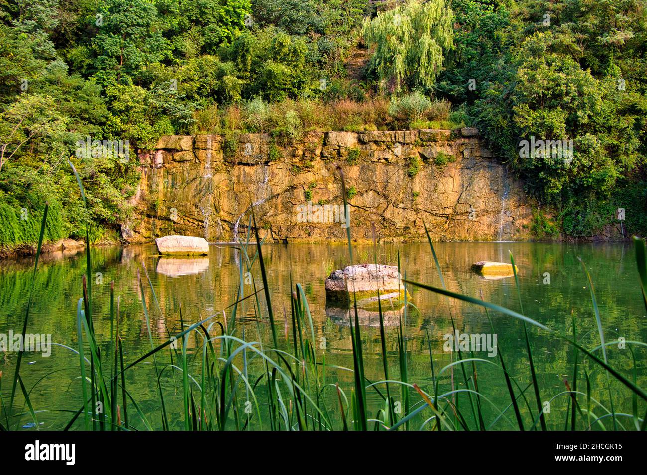 Schöne untere Aufnahme der Landschaft und des Waldes. Stockfoto